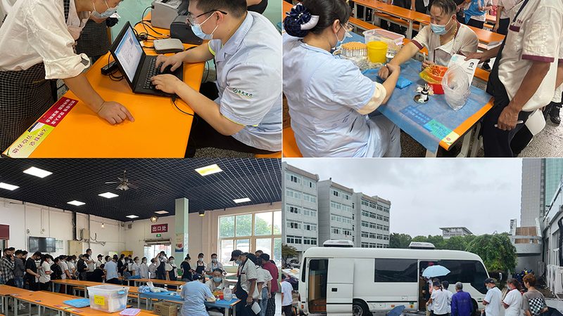 婚前体检主要包括以下几个方面：